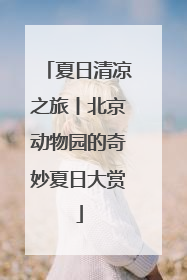 夏日清凉之旅丨北京动物园的奇妙夏日大赏