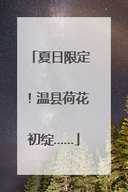 夏日限定！温县荷花初绽……