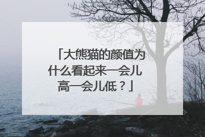 大熊猫的颜值为什么看起来一会儿高一会儿低？
