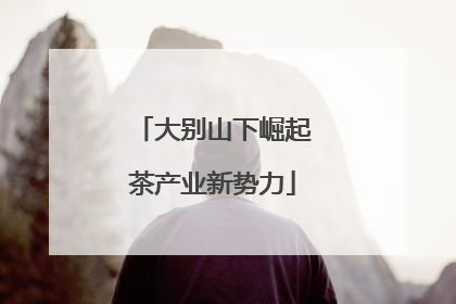 大别山下崛起茶产业新势力