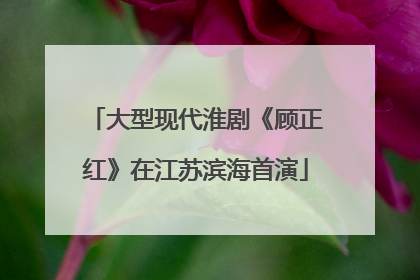 大型现代淮剧《顾正红》在江苏滨海首演