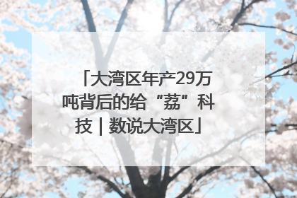 大湾区年产29万吨背后的给“荔”科技｜数说大湾区