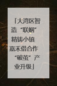 大湾区智造“联姻”精铸小镇 嘉禾借合作“破茧”产业升级