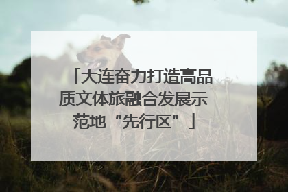 大连奋力打造高品质文体旅融合发展示范地“先行区”