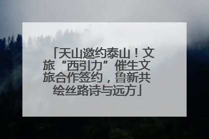 天山邀约泰山！文旅“西引力”催生文旅合作签约，鲁新共绘丝路诗与远方
