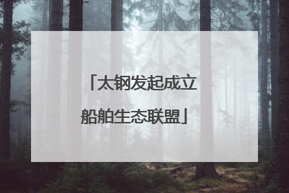 太钢发起成立船舶生态联盟