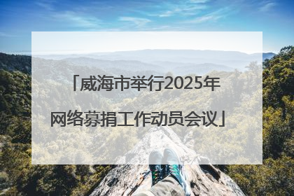 威海市举行2025年网络募捐工作动员会议