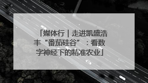 媒体行｜走进凯盛浩丰“番茄硅谷”：看数字神经下的精准农业
