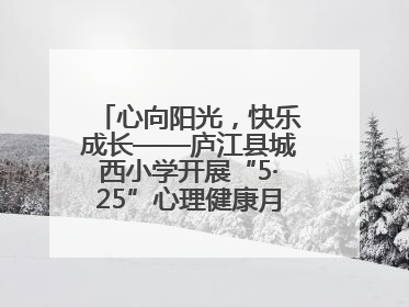 心向阳光，快乐成长——庐江县城西小学开展“5·25”心理健康月系列活动