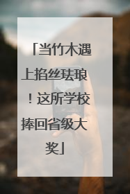 当竹木遇上掐丝珐琅！这所学校捧回省级大奖