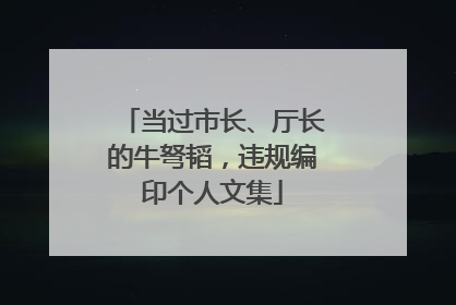 当过市长、厅长的牛弩韬，违规编印个人文集