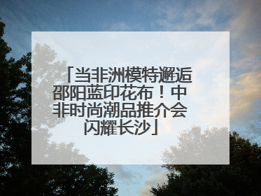 当非洲模特邂逅邵阳蓝印花布！中非时尚潮品推介会闪耀长沙