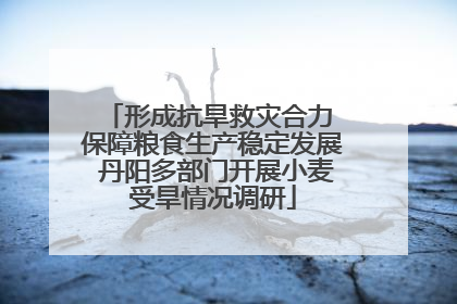 形成抗旱救灾合力 保障粮食生产稳定发展 丹阳多部门开展小麦受旱情况调研
