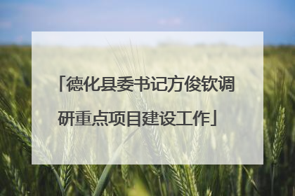 德化县委书记方俊钦调研重点项目建设工作