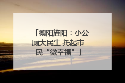 德阳旌阳：小公厕大民生 托起市民“微幸福”