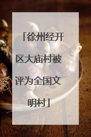 徐州经开区大庙村被评为全国文明村