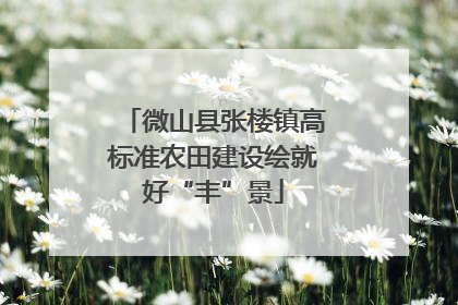 微山县张楼镇高标准农田建设绘就好“丰”景