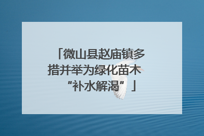 微山县赵庙镇多措并举为绿化苗木“补水解渴”