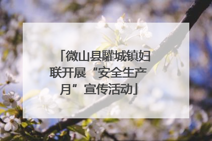 微山县驩城镇妇联开展“安全生产月”宣传活动