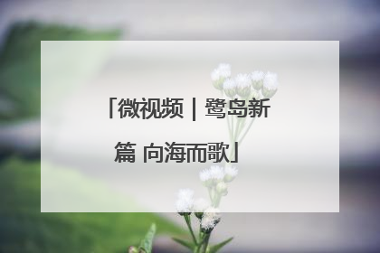 微视频｜鹭岛新篇 向海而歌