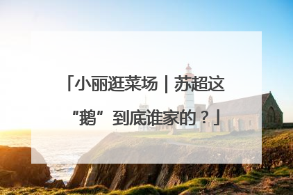 小丽逛菜场｜苏超这“鹅”到底谁家的？