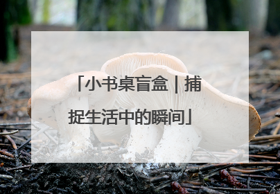 小书桌盲盒｜捕捉生活中的瞬间