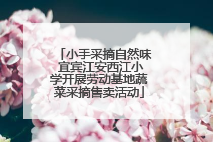 小手采摘自然味 宜宾江安西江小学开展劳动基地蔬菜采摘售卖活动