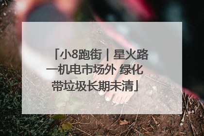 小8跑街｜星火路一机电市场外 绿化带垃圾长期未清