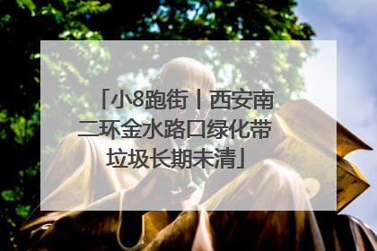 小8跑街丨西安南二环金水路口绿化带垃圾长期未清