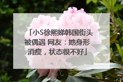 小S徐熙娣韩国街头被偶遇 网友：她身形消瘦，状态很不好