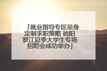 就业指导专区量身定制求职策略 德阳罗江夏季大学生专场招聘会成功举办