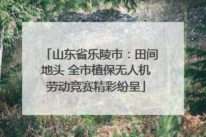 山东省乐陵市：田间地头 全市植保无人机劳动竞赛精彩纷呈