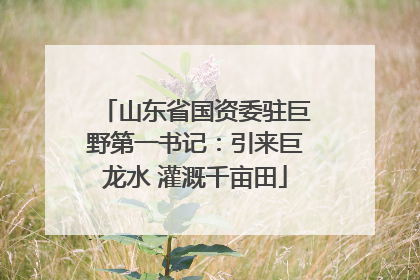山东省国资委驻巨野第一书记：引来巨龙水 灌溉千亩田