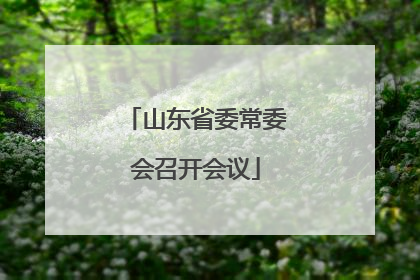 山东省委常委会召开会议