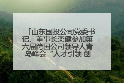 山东国投公司党委书记、董事长栾健参加第六届跨国公司领导人青岛峰会“人才引领 创新驱动”人力资源高质量发展对话会