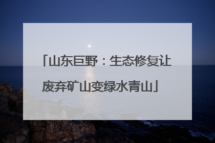 山东巨野：生态修复让废弃矿山变绿水青山