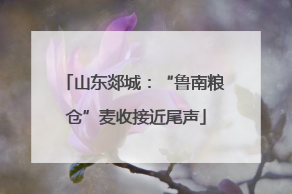 山东郯城：“鲁南粮仓”麦收接近尾声