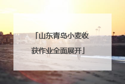 山东青岛小麦收获作业全面展开