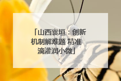 山西襄垣：创新机制解难题 精准滴灌润小微