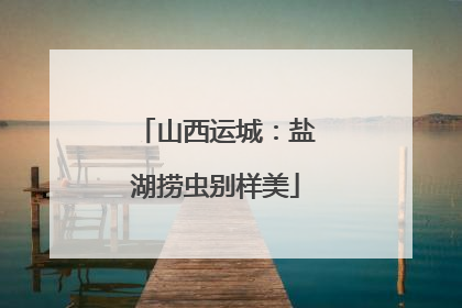 山西运城：盐湖捞虫别样美