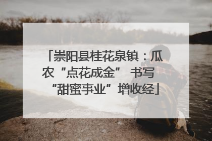 崇阳县桂花泉镇：瓜农“点花成金” 书写“甜蜜事业”增收经