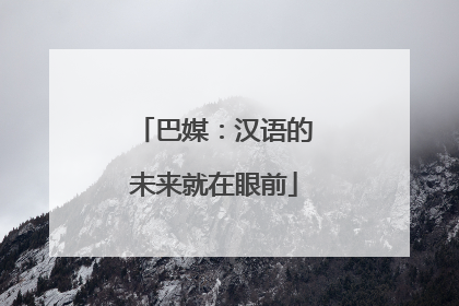 巴媒：汉语的未来就在眼前