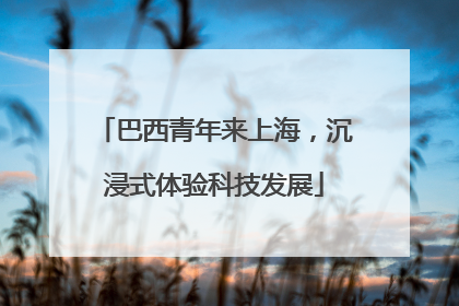 巴西青年来上海，沉浸式体验科技发展