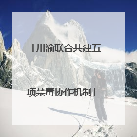 川渝联合共建五项禁毒协作机制