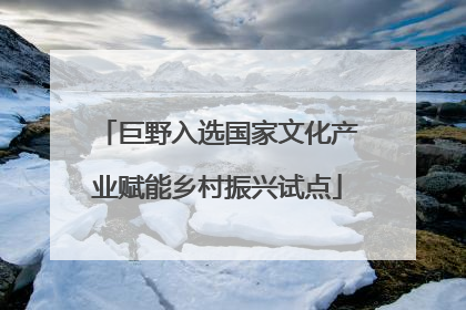 巨野入选国家文化产业赋能乡村振兴试点