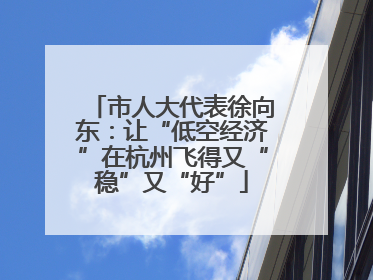 市人大代表徐向东：让“低空经济”在杭州飞得又“稳”又“好”
