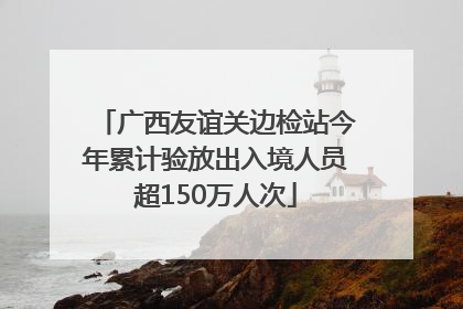 广西友谊关边检站今年累计验放出入境人员超150万人次