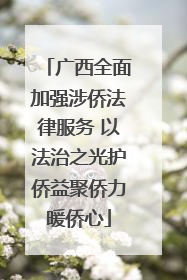 广西全面加强涉侨法律服务 以法治之光护侨益聚侨力暖侨心