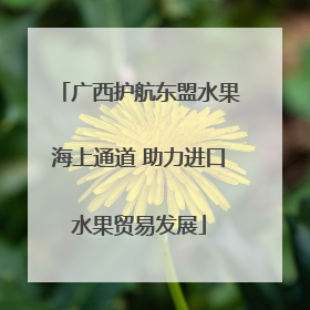 广西护航东盟水果海上通道 助力进口水果贸易发展