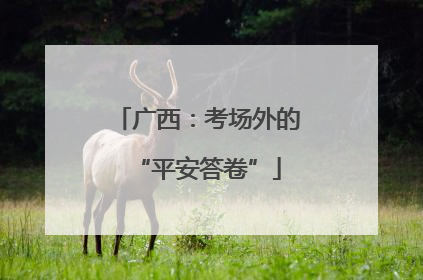 广西：考场外的“平安答卷”